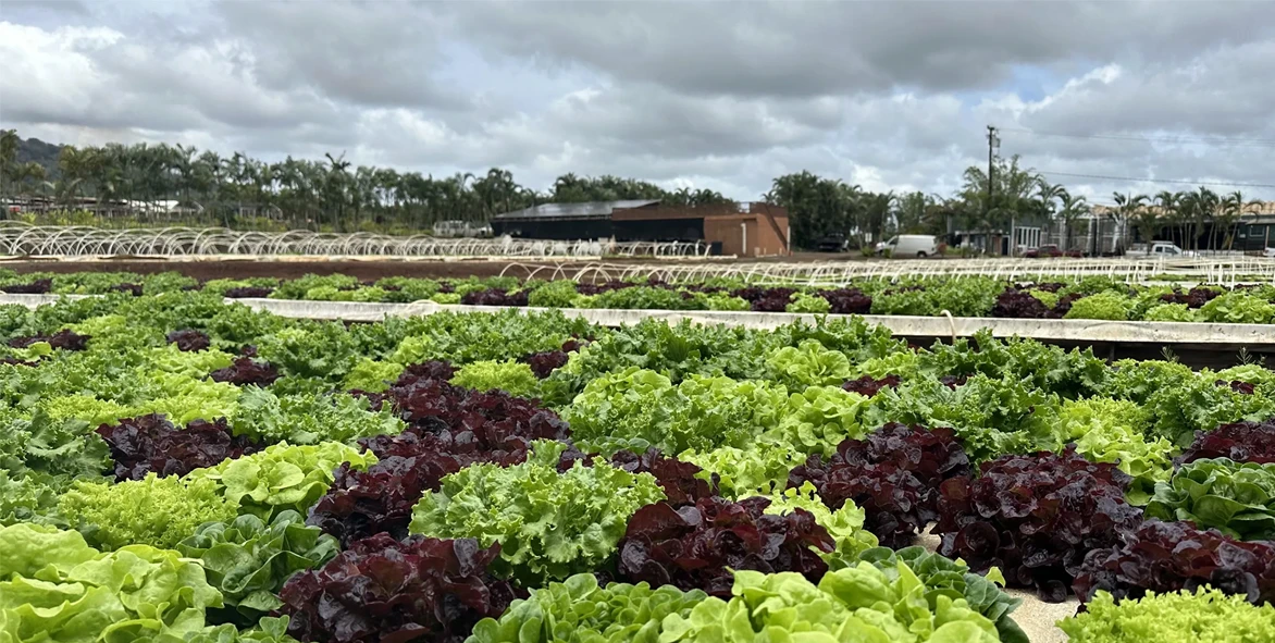 Support Local Farmers and Ranchers