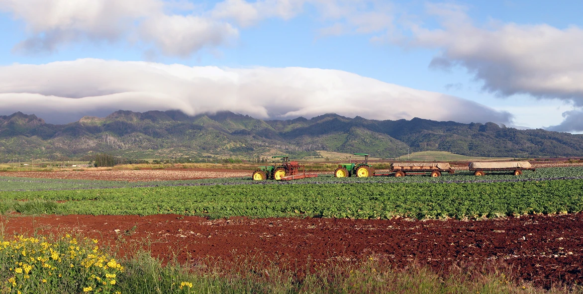 Support Local Farmers and Ranchers