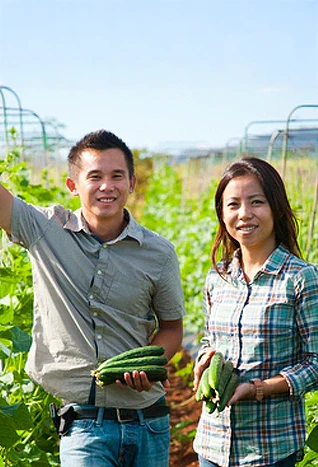 Ho Farms