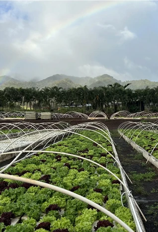 Nalo Farms