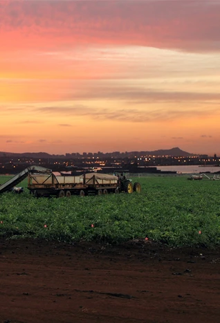 Support Local Farmers and Ranchers Sugarland Growers