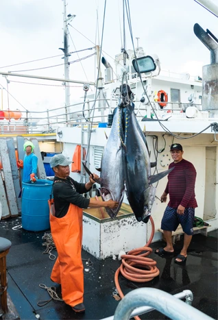 Locally Caught Fish